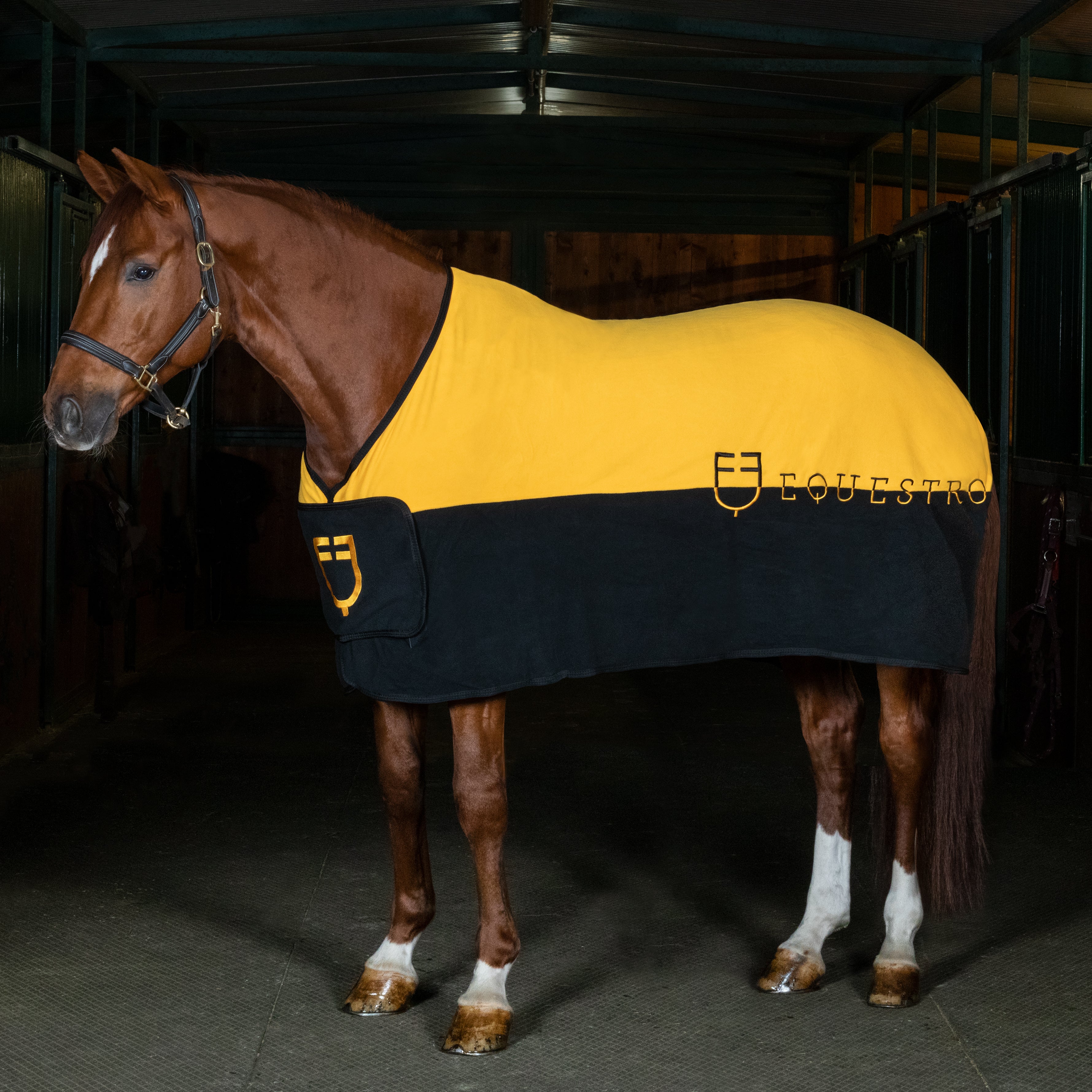 Abschwitzdecke Bicolour Anti-Pilling Fleece Rug