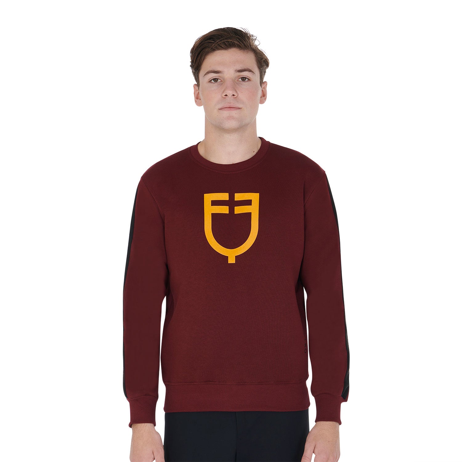 Sweater Men'S Cotton Sweatshirt With Logo