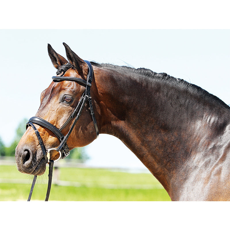 Bridle Super Soft Swedish noseband Euro-Club