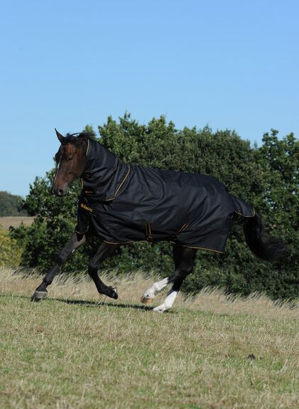 Weidedecke Irish Turnout 50 + Neck