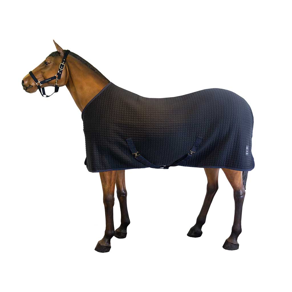 Techo estable Classic Wool Evolution Transport/Stable Thermo Alfombra