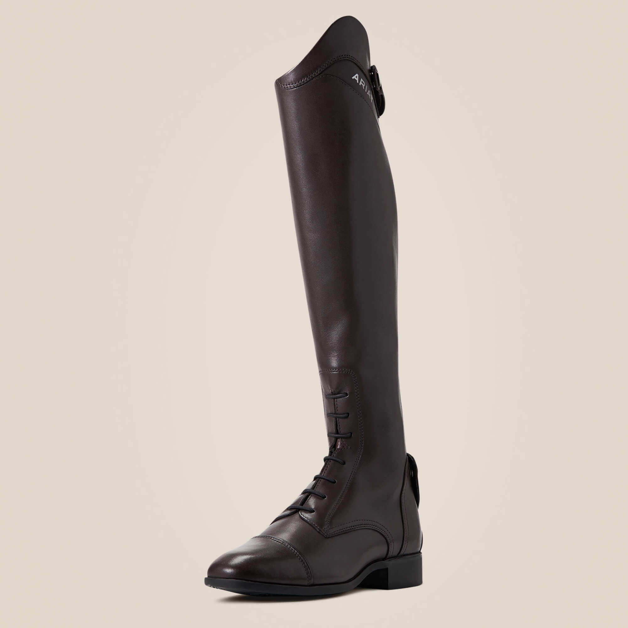 Reitstiefel Ariat WMS Palisade Sample