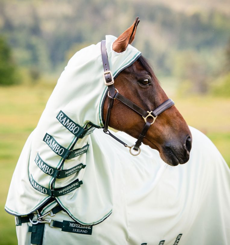 Fliegendecke Rambo Hoody - Reitstiefel Kandel - Dein Reitshop