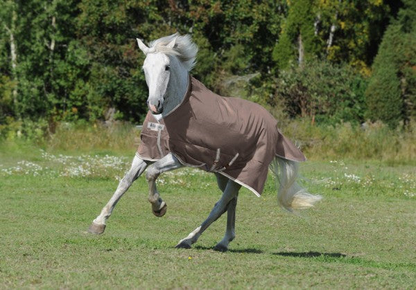 Euroriding Turnout Light stay-dry