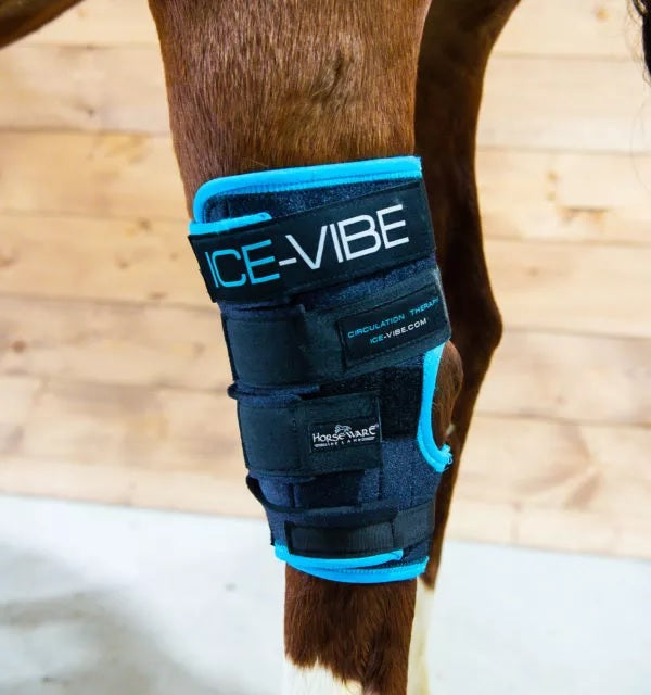 Ice-Vibe HW Hock Wrap NEW(1pr) - Reitstiefel Kandel - Dein Reitshop