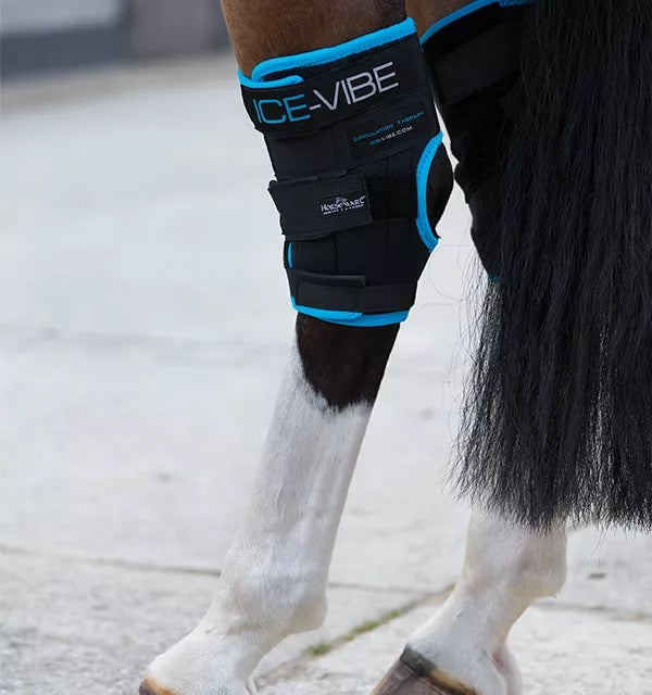 Ice-Vibe HW Hock Wrap NEW(1pr) - Reitstiefel Kandel - Dein Reitshop