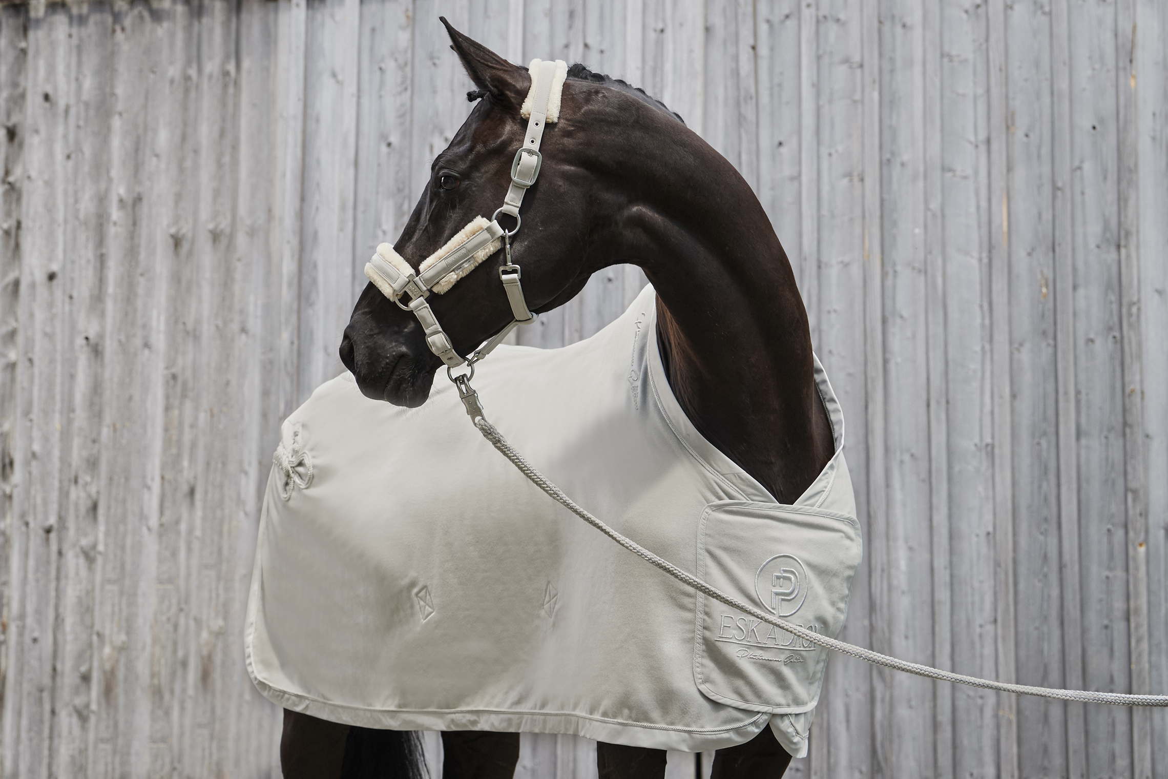 Abschwitzdecke Platinum LODEN - Reitstiefel Kandel - Dein Reitshop