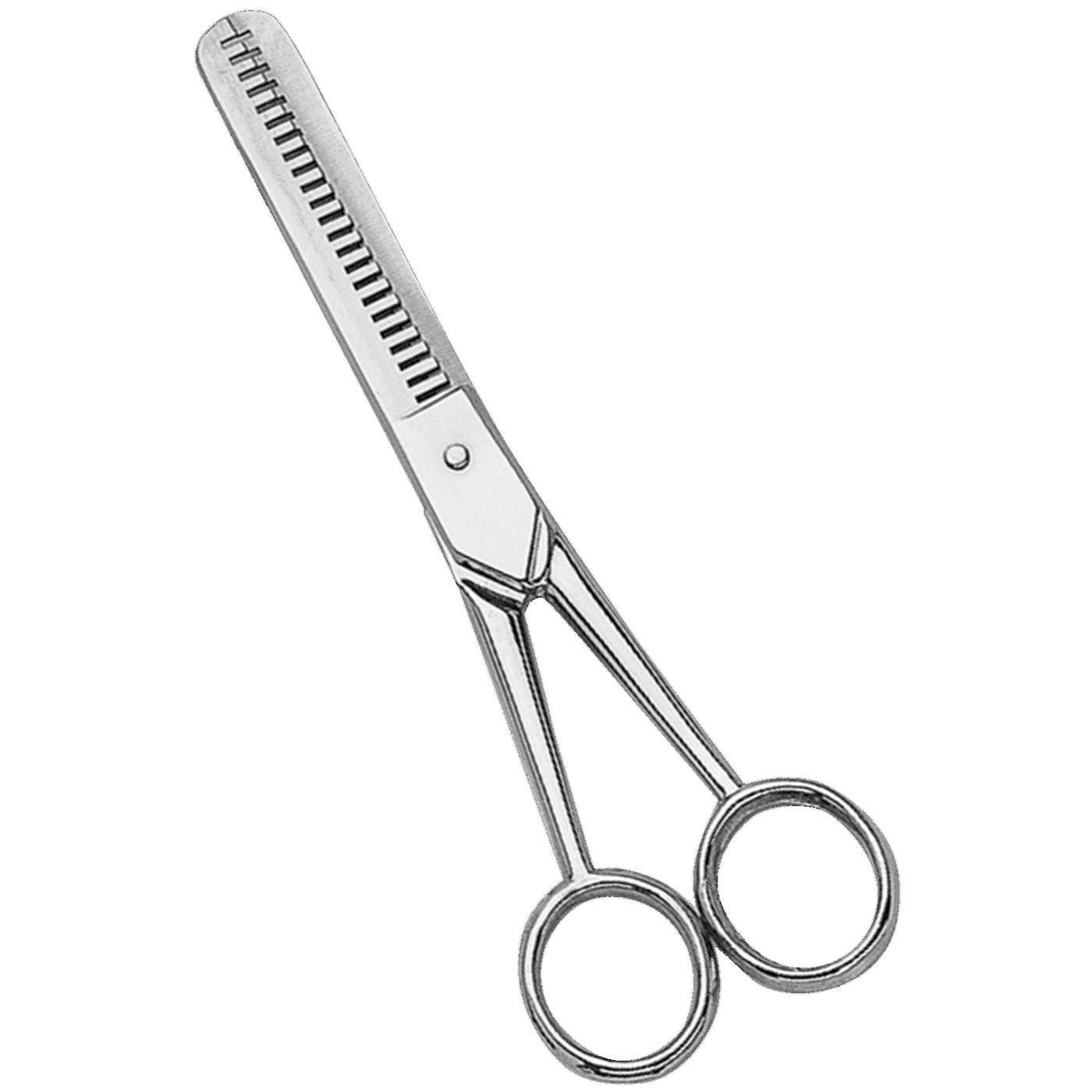 Effy scissors | 4526101