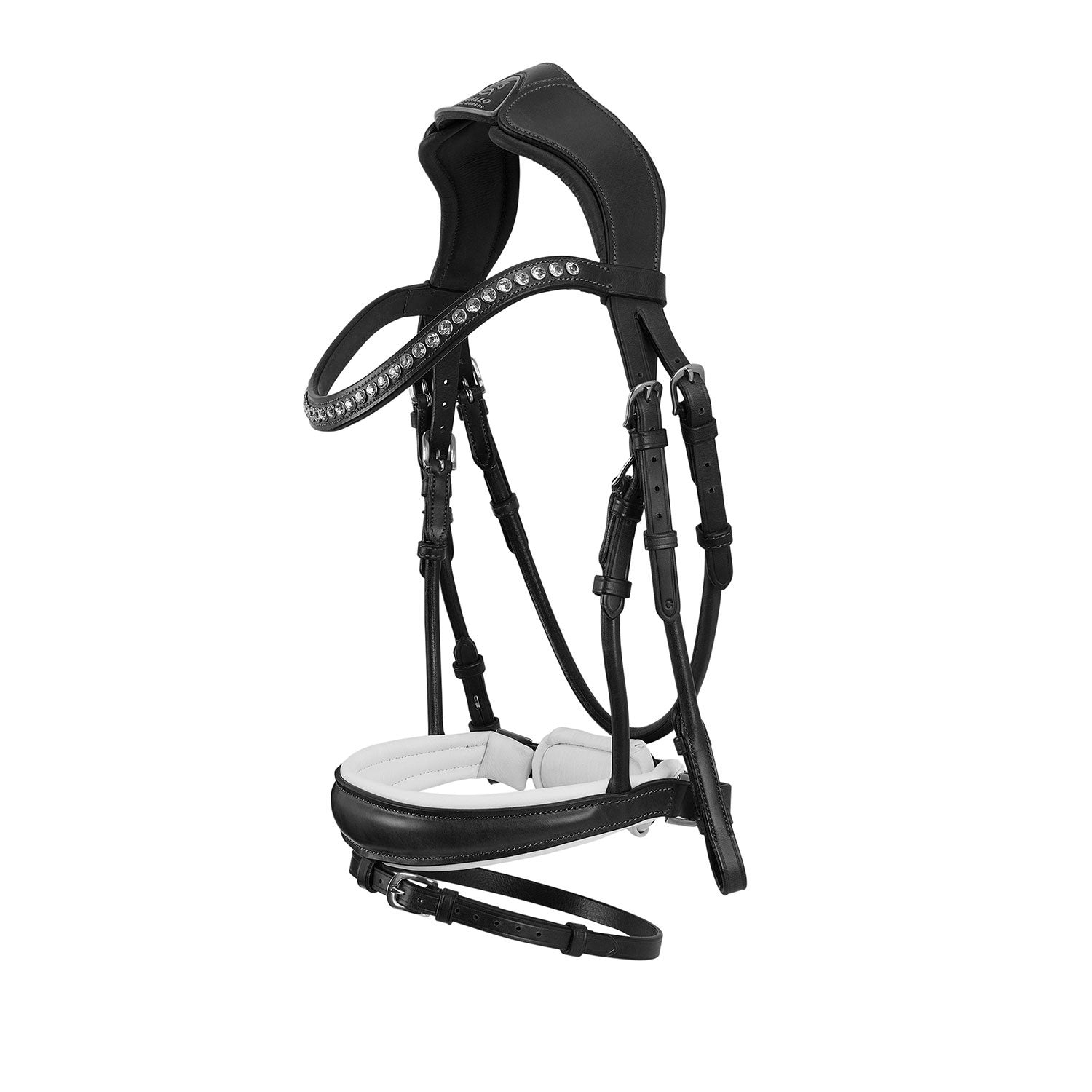 Bridle poesia rolled cuoio briglia