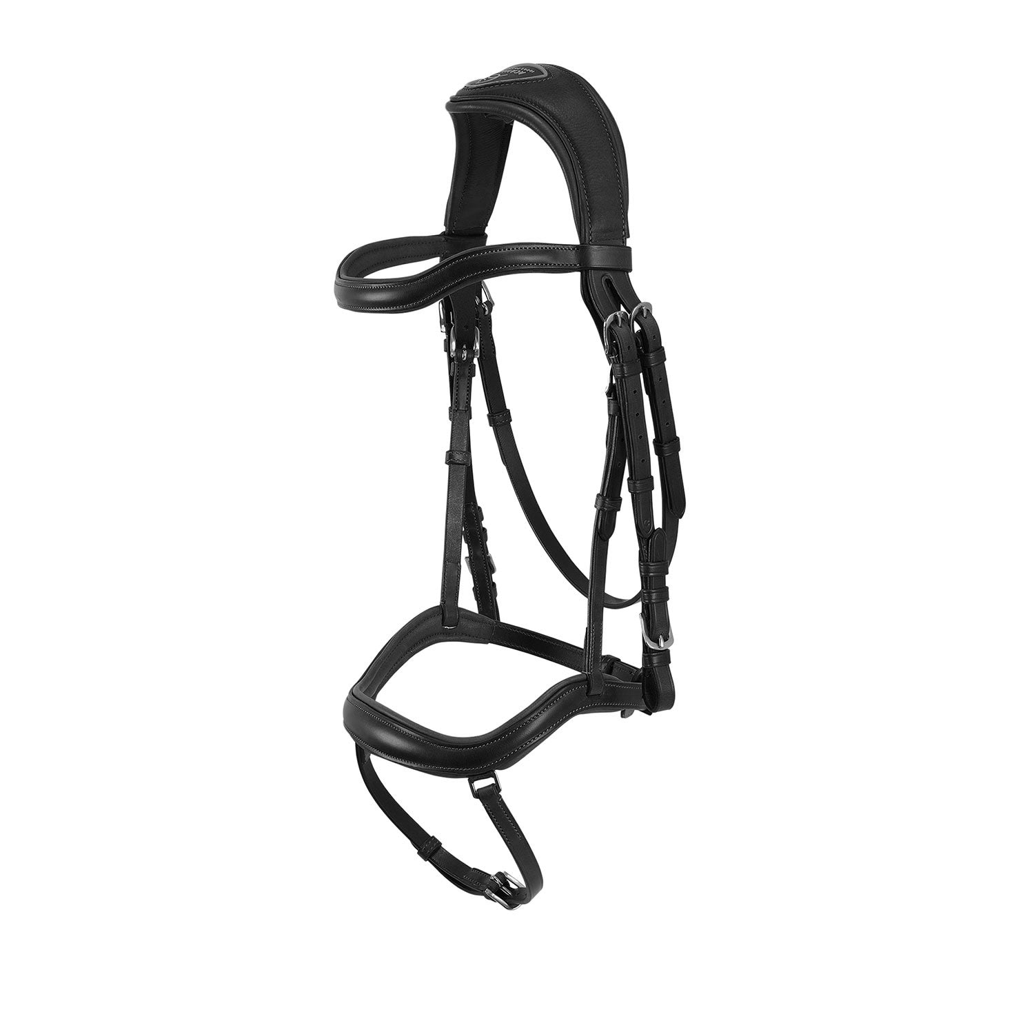 BRIDLE ALLEGORIA ANATOMISCHE BRIDLE