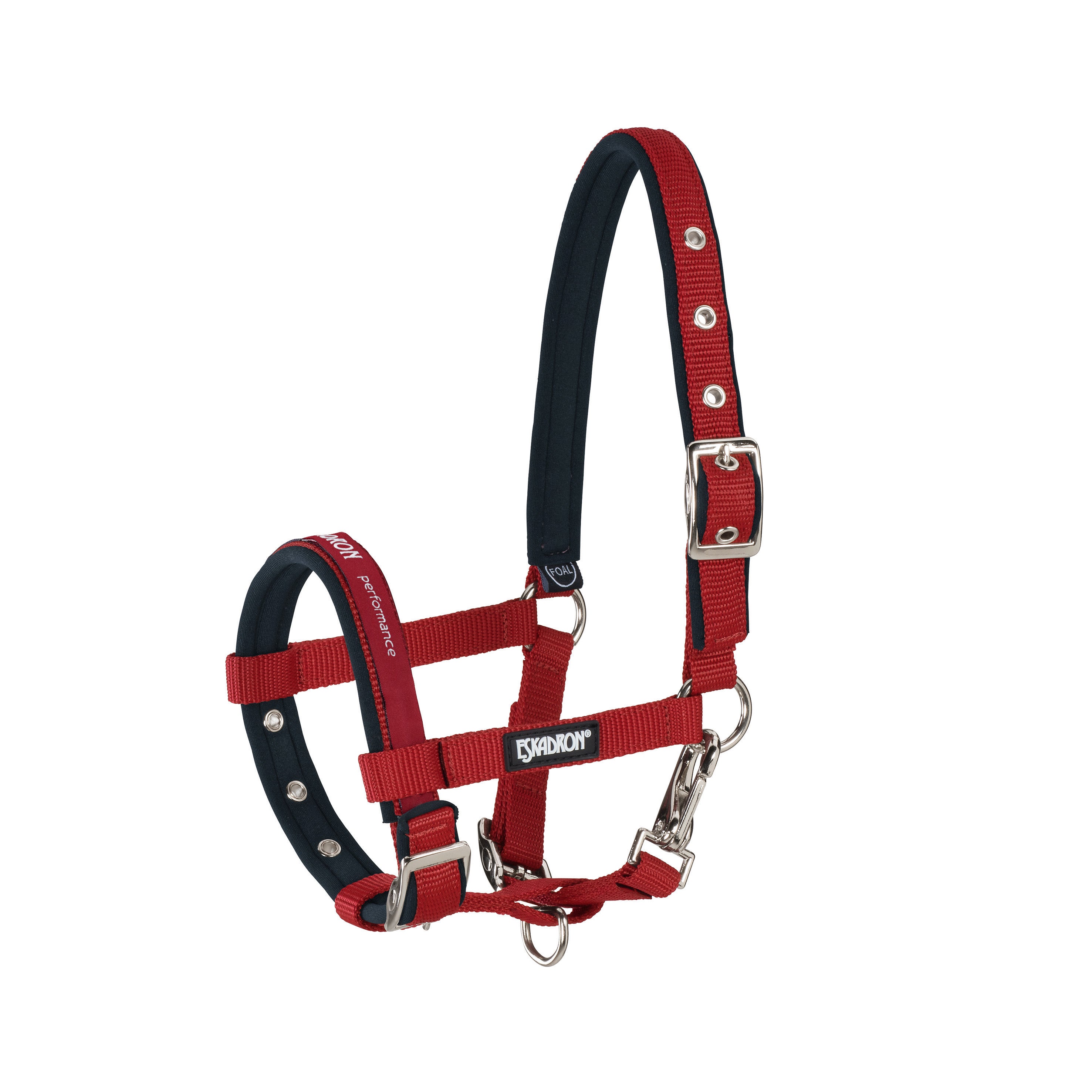 Headcollar FOHLEN Basics 24 - Reitstiefel Kandel - Dein Reitshop