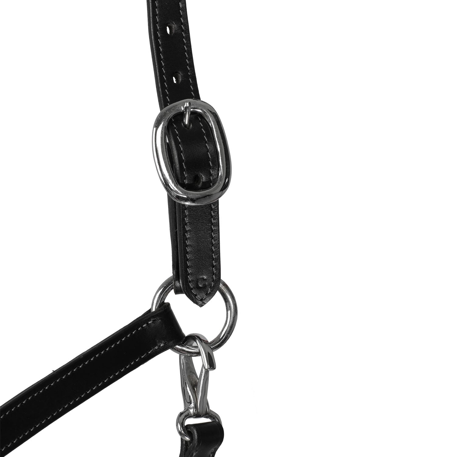 Halfter Halter anatomical leather rope noseband - Reitstiefel Kandel - Dein Reitshop