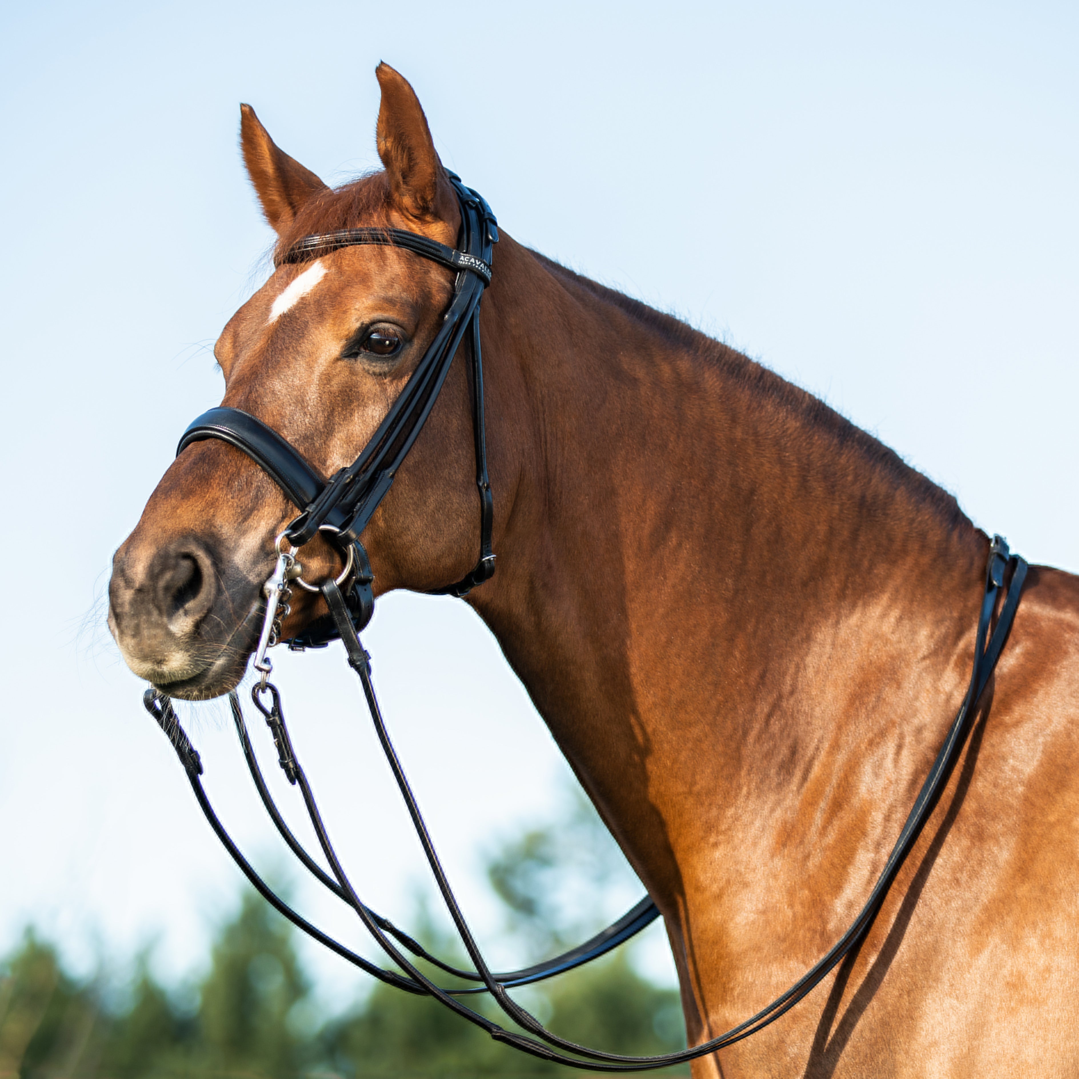 Kandare Routed Paraso Rouled Leather Double Reins Bridle