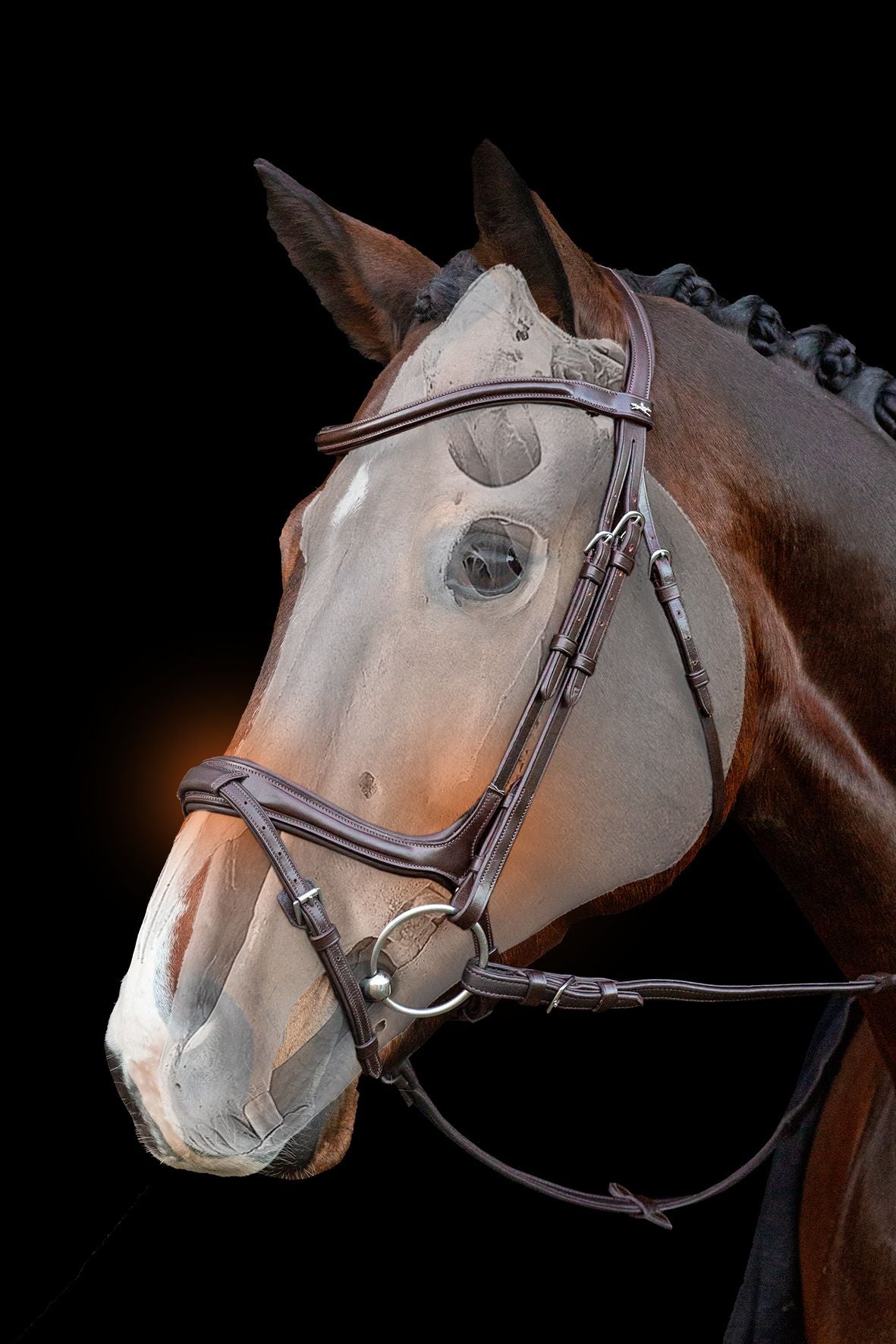 Bridle Ancona Select