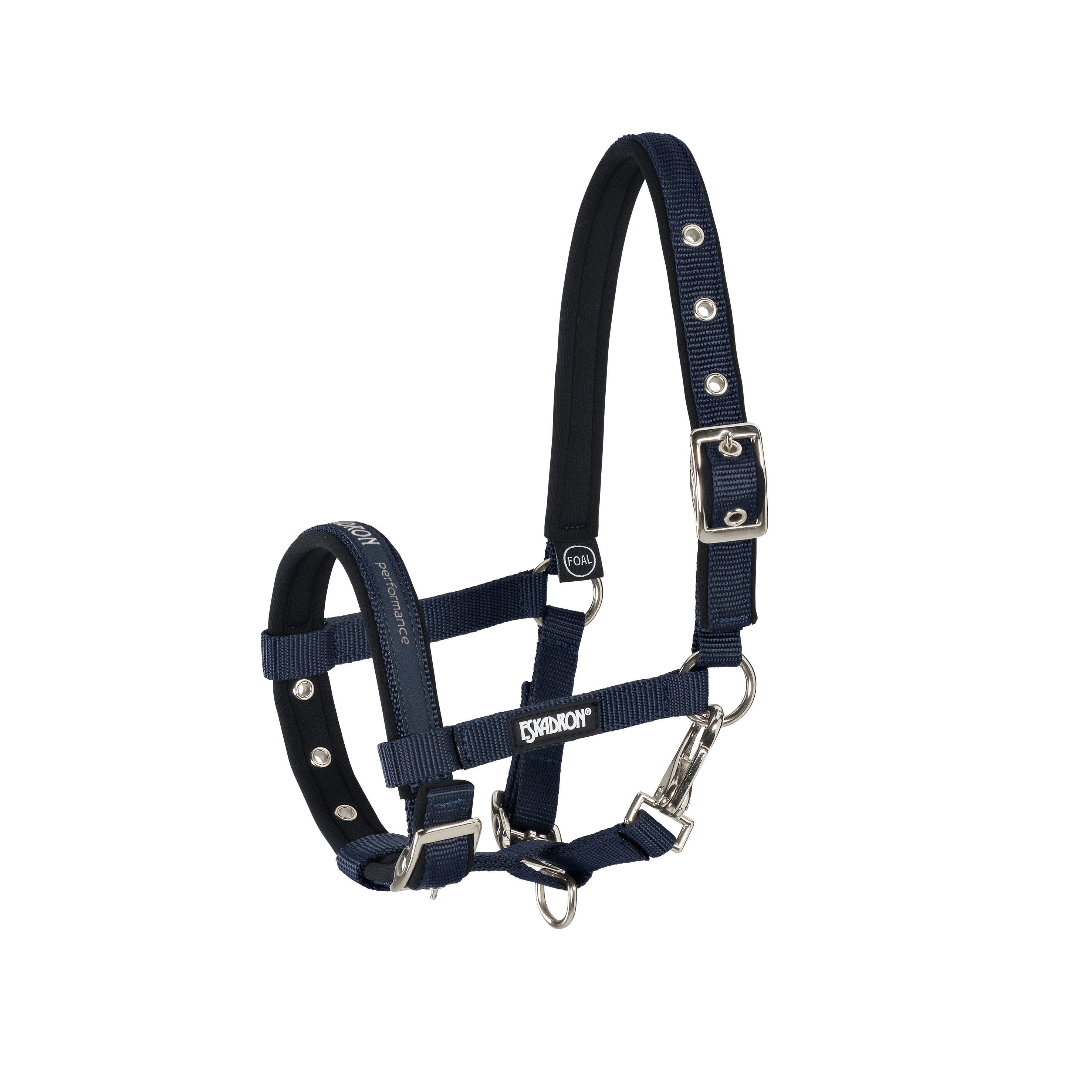 Headcollar FOHLEN Basics 24 - Reitstiefel Kandel - Dein Reitshop