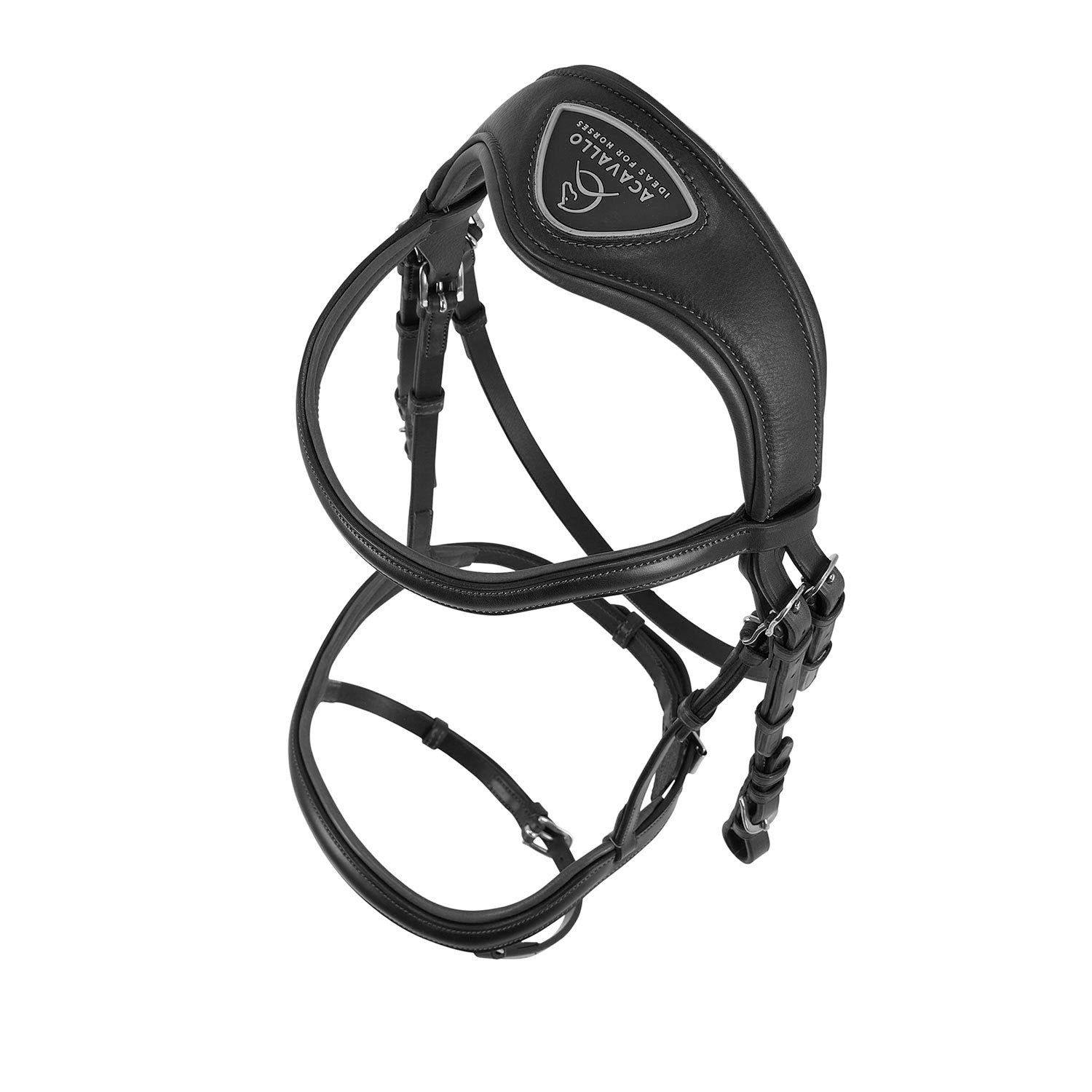 BRIDLE ALLEGORIA ANATOMISCHE BRIDLE