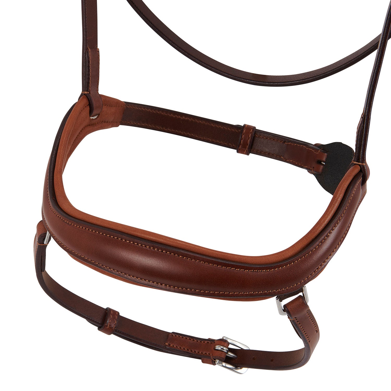 Bridle allegoria briglia anatomica