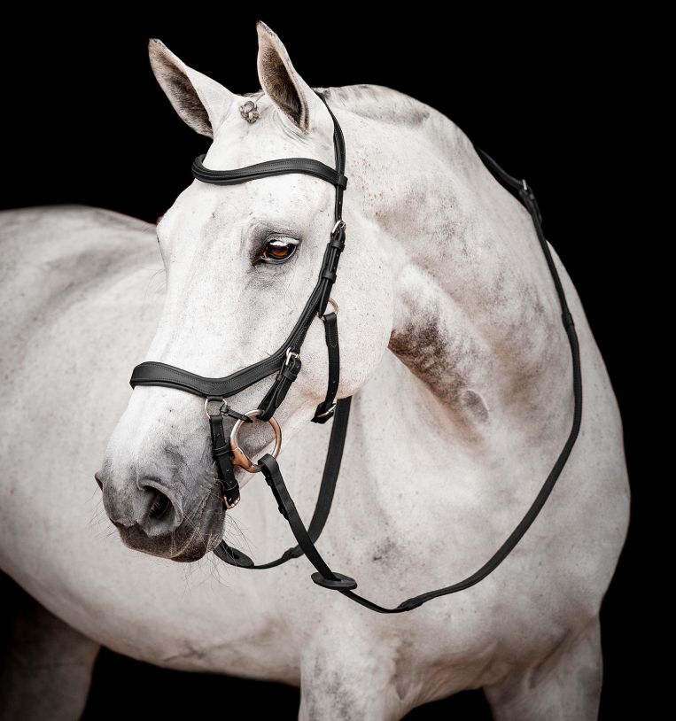 HW Micklem2  CompetitionBridle - Reitstiefel Kandel - Dein Reitshop